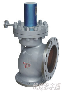A49电站主安全阀